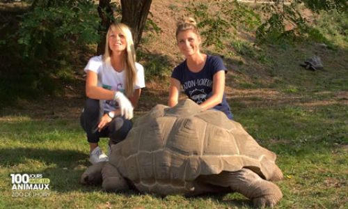C8-100joursavecles-animaux-THOIRY C8-100joursavecles-animaux-THOIRY